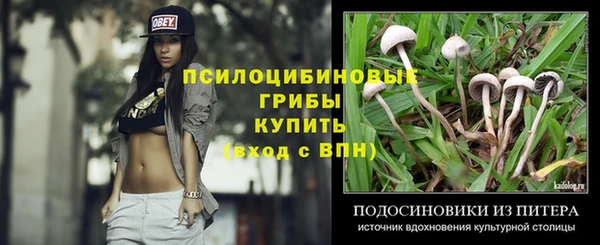 трава Бронницы